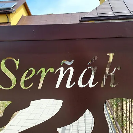 Sarnak 19 아파트 Runina